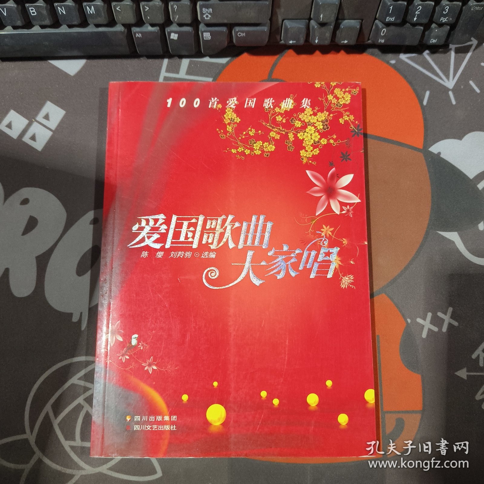 爱国歌曲大家唱 2009年一版一印