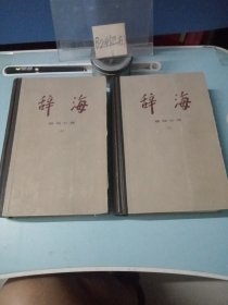 辞海 语词分册 上下