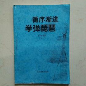循序漸進(jìn)學(xué)彈琵琶