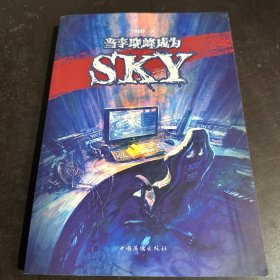 当李晓峰成为SKY