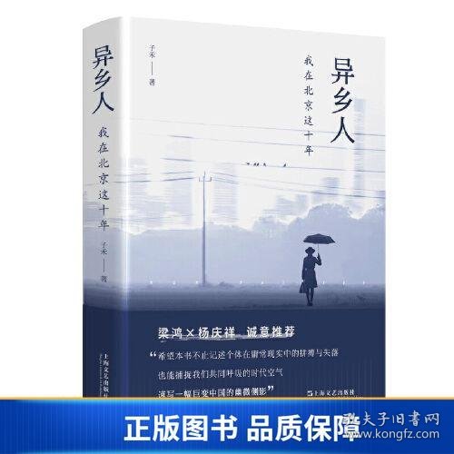 异乡人：我在北京这十年（梁鸿、杨庆祥联袂推荐，“北漂”十年，我是八百万分之一，狼狈地呼吸，狼狈地离去）