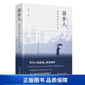 异乡人：我在北京这十年（梁鸿、杨庆祥联袂推荐，“北漂”十年，我是八百万分之一，狼狈地呼吸，狼狈地离去）