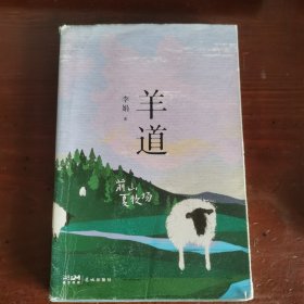 羊道 前山夏牧场