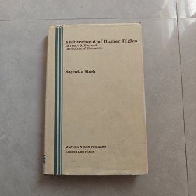 ENFORCEMENT OF HUMAN RIGHTS（执行人权）英文版