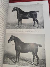 The Horse Its Treatment in Health and Disease with a Complete Guide to Breeding Training and Management Vol 2【民国国立中央大学馆藏。藏书票两枚】--