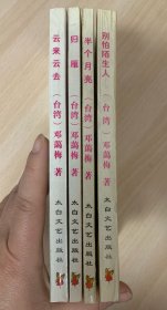 邓蔼梅感性系列《归雁》《半个月亮》《别怕陌生人》《云来云去》四本合售 全部为1版1印 品好