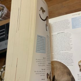 The Encyclopedia of the Cat