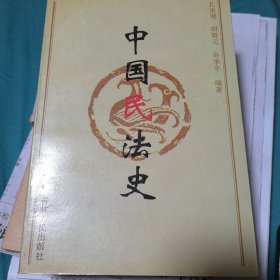 中国民法史