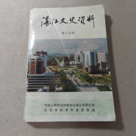 湛江文史资料:第十五辑