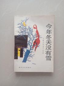 今年冬天没有雪 、   王敏中短篇小说选