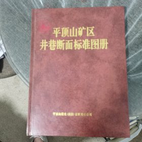 平顶山矿区井巷断面标准图册