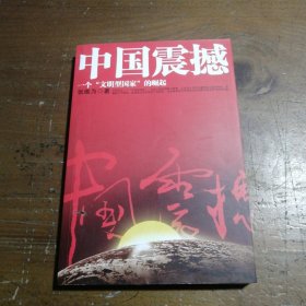 中国震撼：一个“文明型国家”的崛起