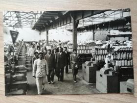 朝鲜老照片： 阿尔巴尼亚政府代表团访问朝鲜（1956年9月）8寸