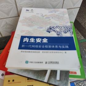 内生安全 新一代网络安全框架体系与实践