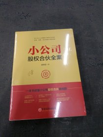 小公司股权合伙全案