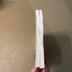 听名师讲课.语文卷 数学卷 2本合售