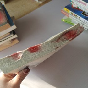 大江东去 : 丁济康诗词集