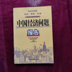 中国经济问题报告