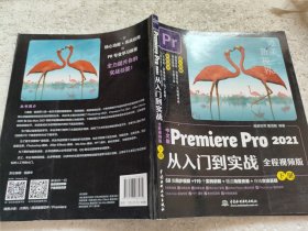 中文版Premiere Pro 2021从入门到实战 （全程视频版）