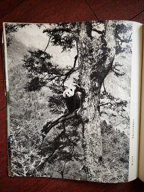 复刊号：中国摄影 1974年有复刊致读者，30余幅彩色黑白照片（批林批孔，黄帅，大熊猫，大庆油田，南京长江大桥，大炼钢铁，成昆铁路，大寨，知青，藏族赤脚医生，京剧杜鹃山平原作战，到社员家做手术，学游泳，渔场早晨，蔬菜上市），（详见说明）