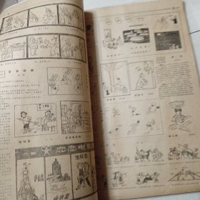 老报纸、刺玫瑰（1980年一1987年）创刊号一终刊号合订本