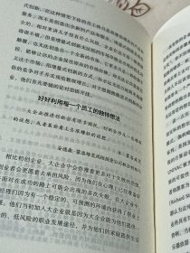 让大象飞:激进创新，让你一飞冲天的创业术