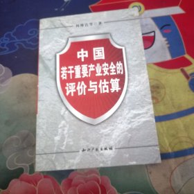 中国若干重要产业安全的评价与估算