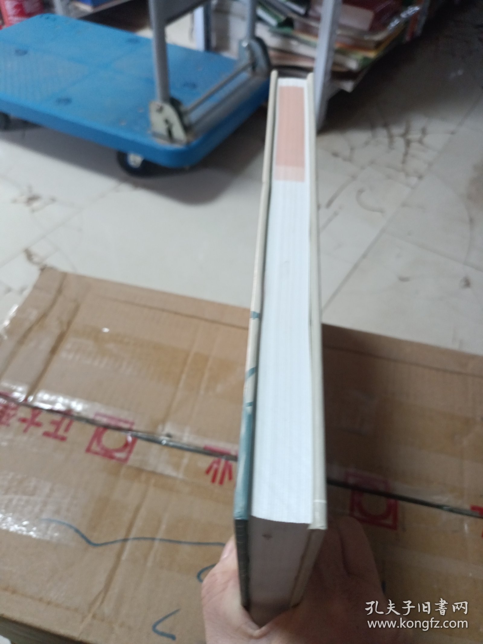 上海植物图鉴·草本卷