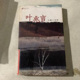 叶兆言中篇小说选