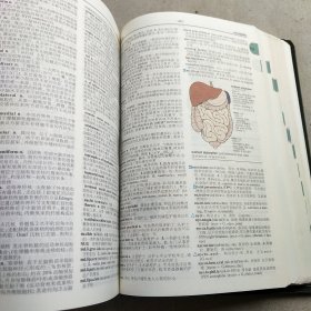 STEDMANS实用医学词典 第三版