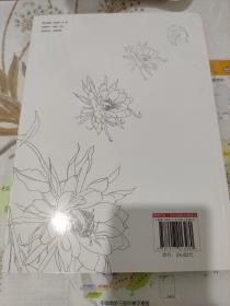 铅笔线描技法：花草篇
