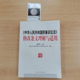 《中华人民共和国民事诉讼法》修改条文理解与适用