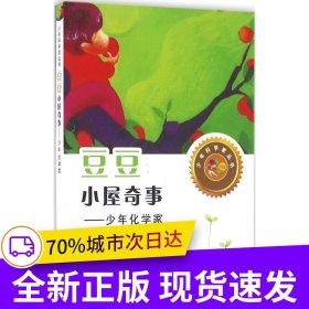 豆豆小屋奇事——少年化学家（少年科学家丛书）身边的科学在探险中学习各科知识6-12岁科学百科全书儿童文学科普小学生课外读物