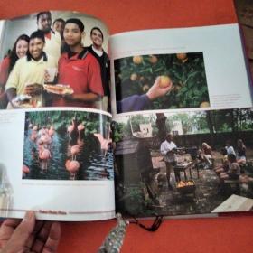 Central Florida Visions Expanding Orlando's Horizo(硬精装)