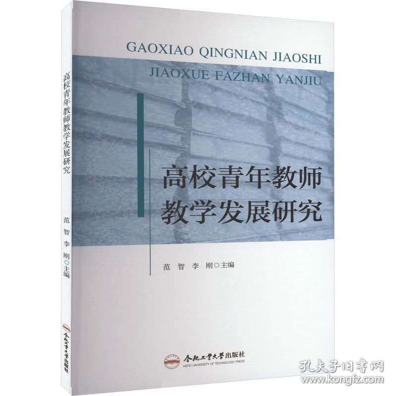 保正版！高校青年教师教学发展研究9787565063466合肥工业大学出版社范智