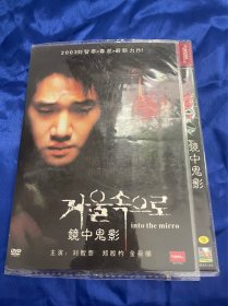 韩国电影DVD，镜中鬼影，刘智泰