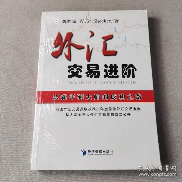 外汇交易进阶：从新手到大师的成功之路