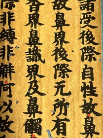 宋元刻经一纸 尺寸：长26.5cm，宽9.4cm。