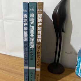 房地产项目全程策划实战全案+房地产项目策划——调研·定位·方案（三册合售）