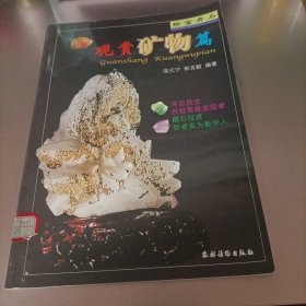 珍宝异石：观赏矿物篇