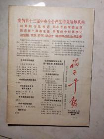 孺子牛报 第37.38合刊