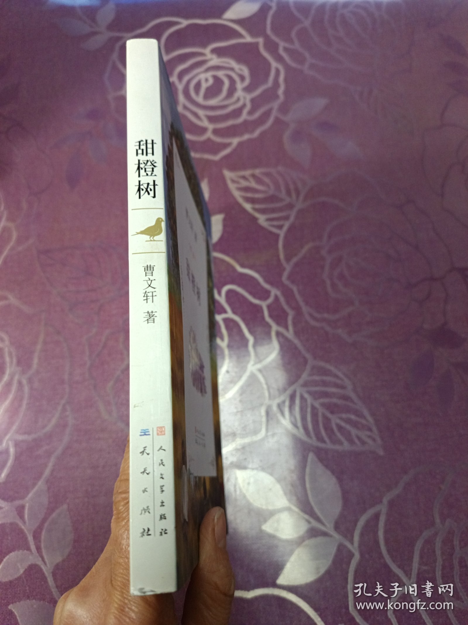 曹文轩文集：甜橙树
