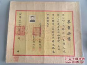 1949年私立大同大学毕业证书,校长胡刚復，45*39CM