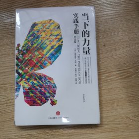 当下的力量实践手册（白金版）