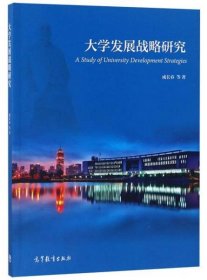 大学发展战略研究