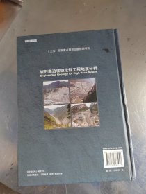 新世纪工程地质学丛书：岩石高边坡稳定性工程地质分析（藏书\无笔记\品相好）