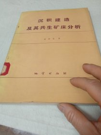 沉积建造及其共生矿床分析