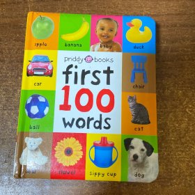 First 100 Words 宝宝的一百词汇书(卡板书)