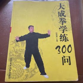 大成拳学练300问