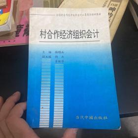 村合作经济组织会计